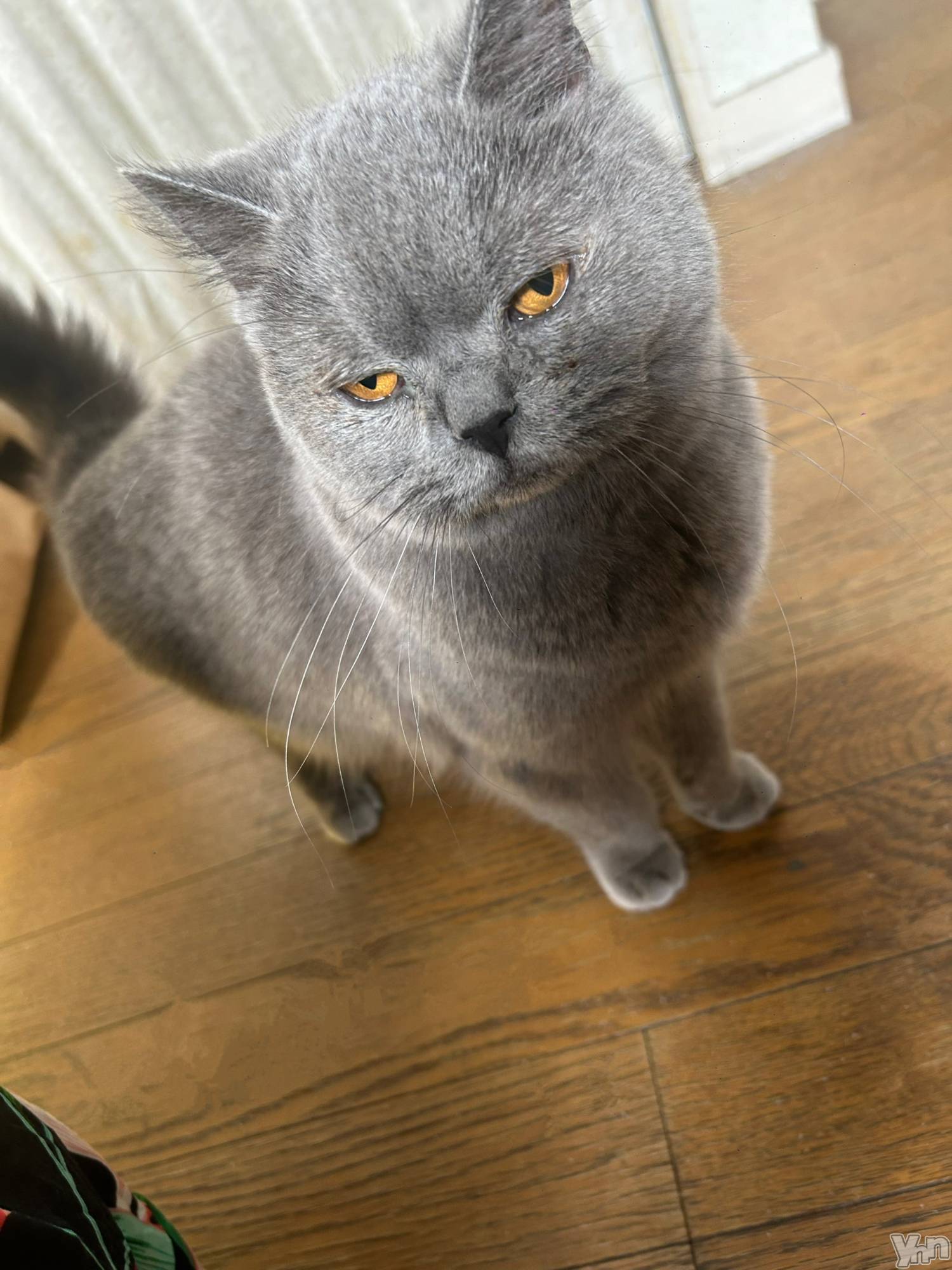 ���ܥ���Х��顦�����CLUB HEARTS(����֥ϡ���) ��2024ǯ7��16���̥�֥����֡ġ�w��