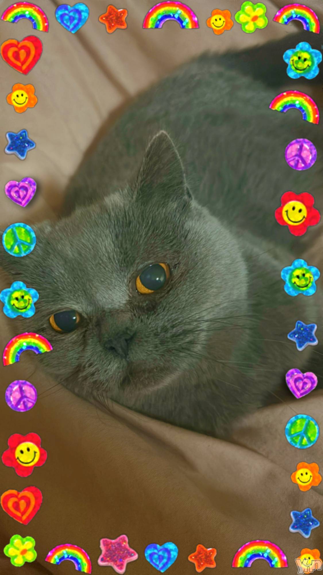 ���ܥ���Х��顦�����CLUB HEARTS(����֥ϡ���) ��2024ǯ12��8���̥�֥�����🍓��