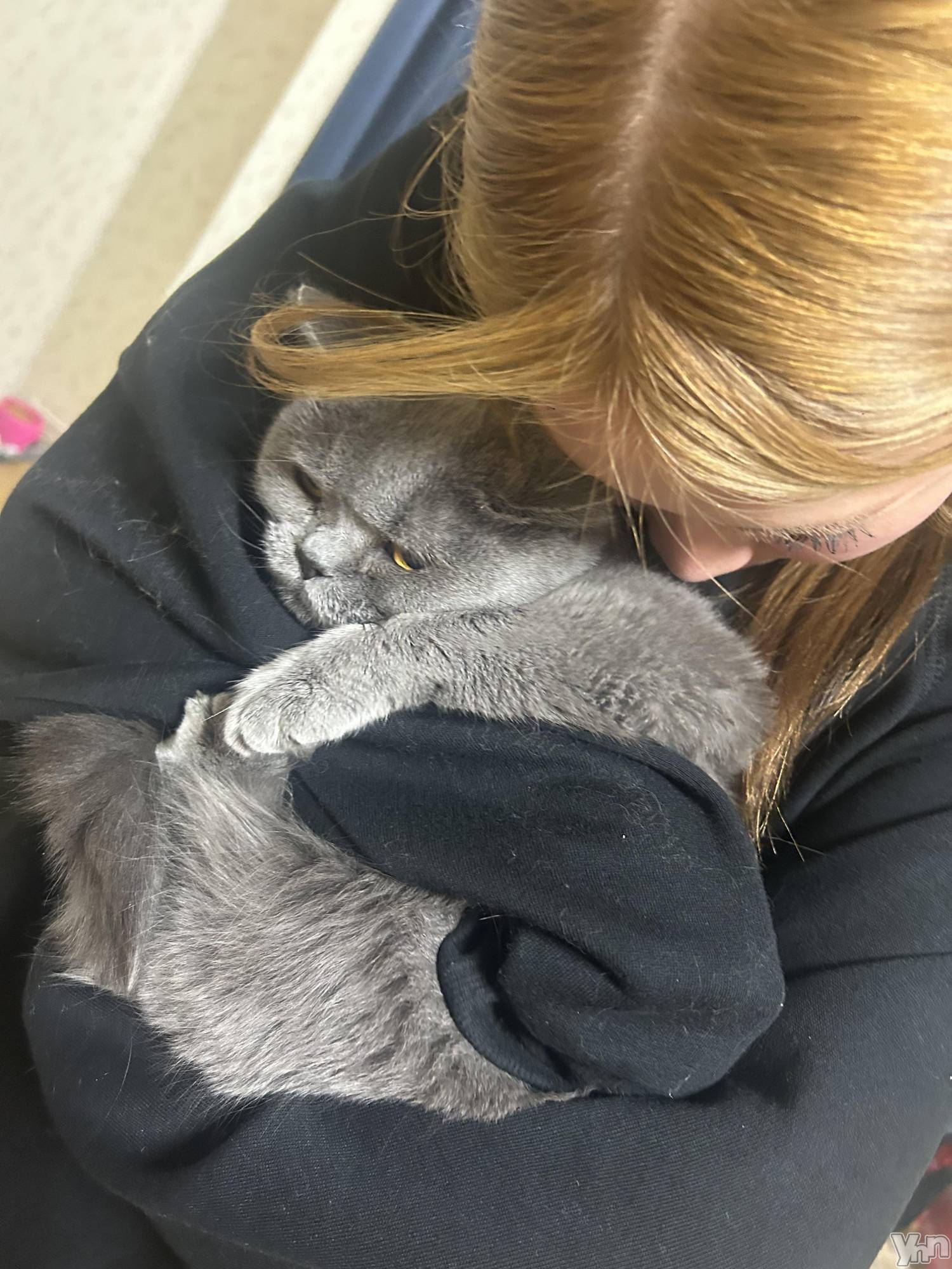 ���ܥ���Х��顦�����CLUB HEARTS(����֥ϡ���) ��2024ǯ12��26���̥�֥�����www��