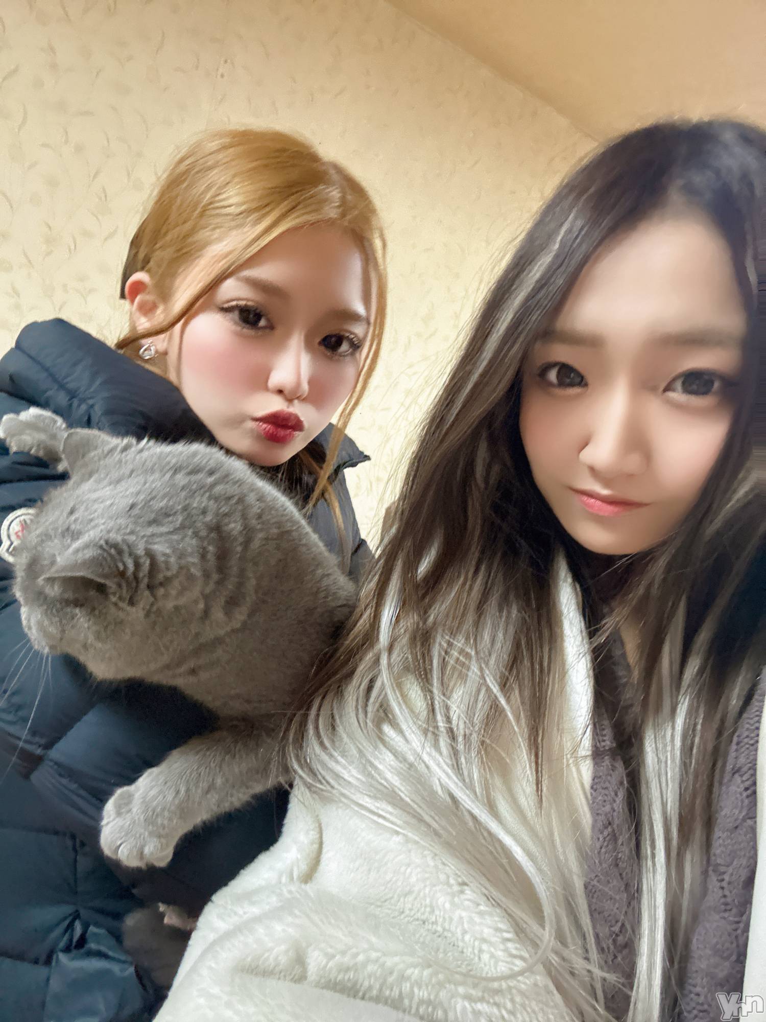 ���ܥ���Х��顦�����CLUB HEARTS(����֥ϡ���) ��2024ǯ12��27���̥�֥�����💓��