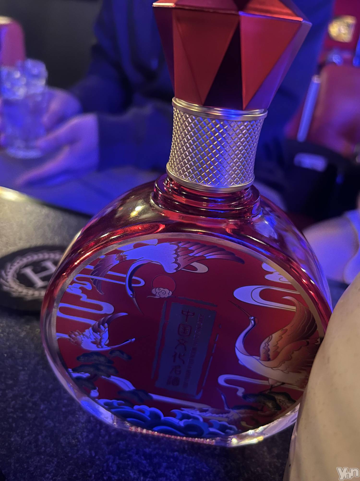 ���ܥ���Х��顦�����CLUB HEARTS(����֥ϡ���) ��2026ǯ3��6���̥�֥����֡�����