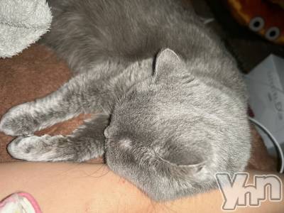 ���ܥ���Х��顦�����CLUB HEARTS(����֥ϡ���) ���(29)��2��11���̥�֥����֥ϥ������