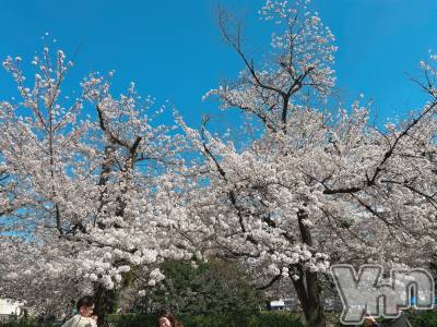 ���ܥ���Х��顦�����CLUB HEARTS(����֥ϡ���) ���(29)��4��7���̥�֥�����🌸��