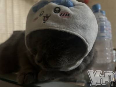 ���ܥ���Х��顦�����CLUB HEARTS(����֥ϡ���) ���(29)��5��19���̥�֥����֤������