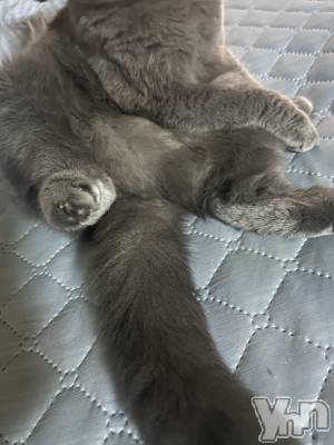 ���ܥ���Х��顦�����CLUB HEARTS(����֥ϡ���) ���(29)��5��29���̥�֥����֤���������