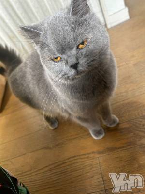 ���ܥ���Х��顦�����CLUB HEARTS(����֥ϡ���) ���(29)��7��16���̥�֥����֡ġ�w��