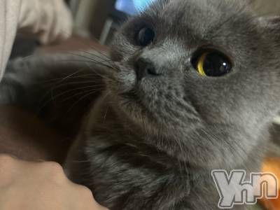 ���ܥ���Х��顦�����CLUB HEARTS(����֥ϡ���) ���(29)��10��28���̥�֥����ֺǶ�Τ��á�