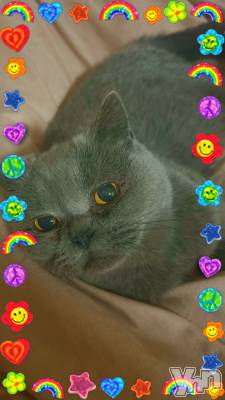 ���ܥ���Х��顦�����CLUB HEARTS(����֥ϡ���) ���(29)��12��8���̥�֥�����🍓��