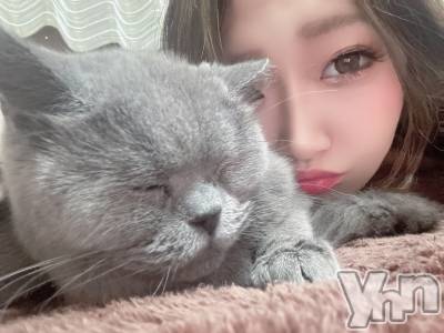 ���ܥ���Х��顦�����CLUB HEARTS(����֥ϡ���) ���(29)��3��6���̥�֥�����🫶��