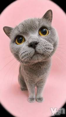 ���ܥ���Х��顦�����CLUB HEARTS(����֥ϡ���) ���(29)��9��5���̥�֥�����🐱��
