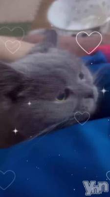 �㥫��