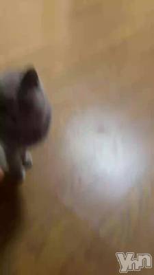 �դ�������