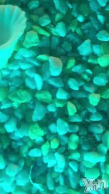 ��Ǥ����ʤ�