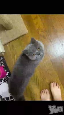 ���ä���