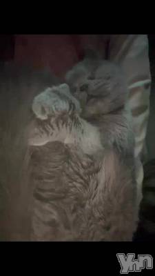 ���ä���