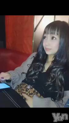 �����İ�����������