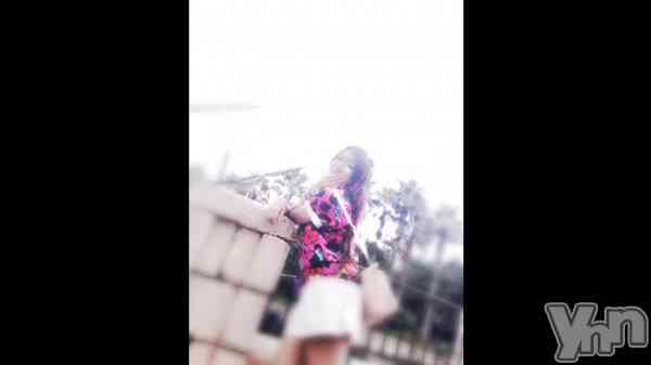 �֥ͥ��ߤ�����