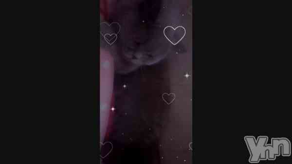 ��🐱��