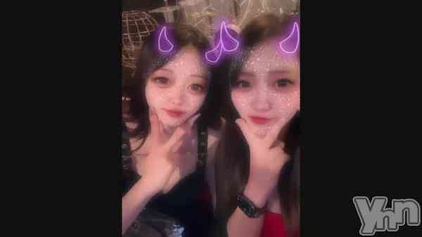 ����🐱��