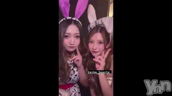 &#x1F430;&#x1F431;&#x1F648;&#x1F411;