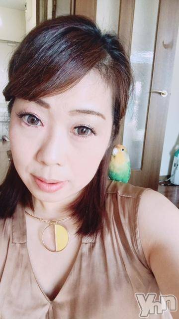 甲府デリヘル山梨人妻デリヘルNoと言えない女達(ヤマナシヒトヅマデリヘルノートイエナイオンナタチ) まや(34)の9月19日写メブログ「こんにちは☆彡」