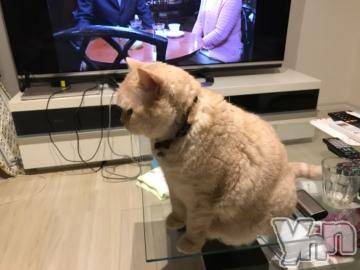 甲府デリヘルLOVE CLOVER(ラブクローバー)ゆみ(25)の2020年1月3日写メブログ「ゆみBLOG(*^^*)」