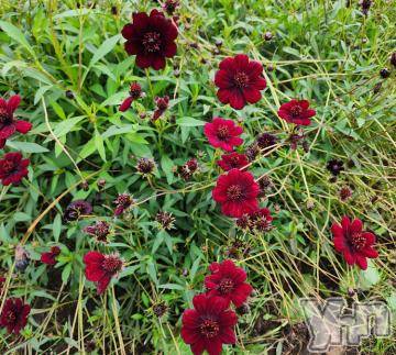 甲府デリヘルLOVE CLOVER(ラブクローバー) ちかこ(30)の9月19日写メブログ「多忙モードにつきお休み中」