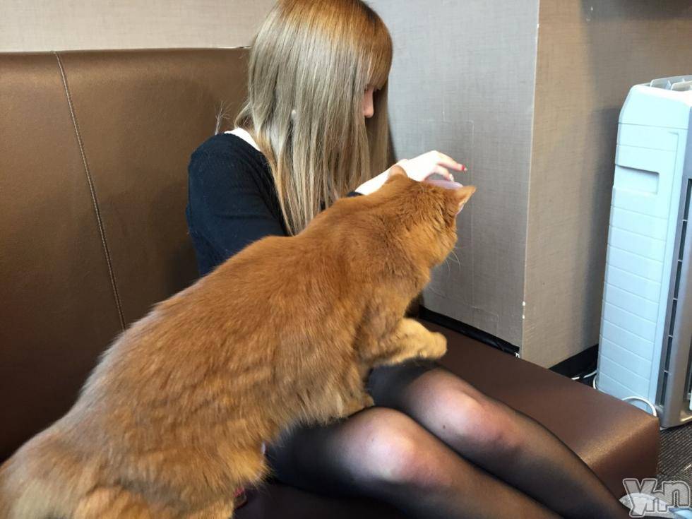 甲府デリヘルLOVE CLOVER(ラブクローバー)つばさ(24)の2017年11月11日写メブログ「オフショット」