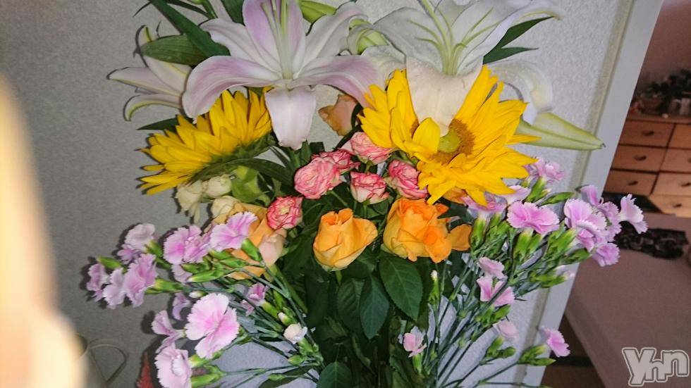 甲府デリヘル山梨人妻デリヘルNoと言えない女達(ヤマナシヒトヅマデリヘルノートイエナイオンナタチ) えれな(27)の2月13日写メブログ「お花?」