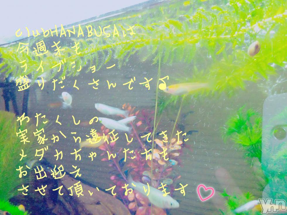 ���ܥ���Х��顦�����Entertainment Club HANA��BUSA(���󥿡��ƥ����ȥ���֡��ϥʥ֥�) ��Τ��10��4���̥�֥�����(❁ᴗ͈ˬᴗ͈)⁾⁾⁾��