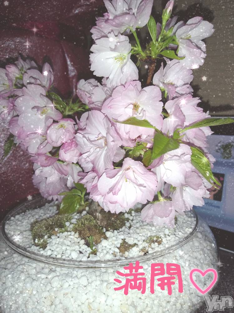 ���ܥ���Х��顦�����Entertainment Club HANA��BUSA(���󥿡��ƥ����ȥ���֡��ϥʥ֥�) ��Τ��4��10���̥�֥�����❀❀❀��