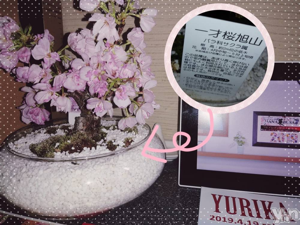 ���ܥ���Х��顦�����Entertainment Club HANA��BUSA(���󥿡��ƥ����ȥ���֡��ϥʥ֥�) ��Τ��4��13���̥�֥�����꙳⋆*&nbsp;❀��