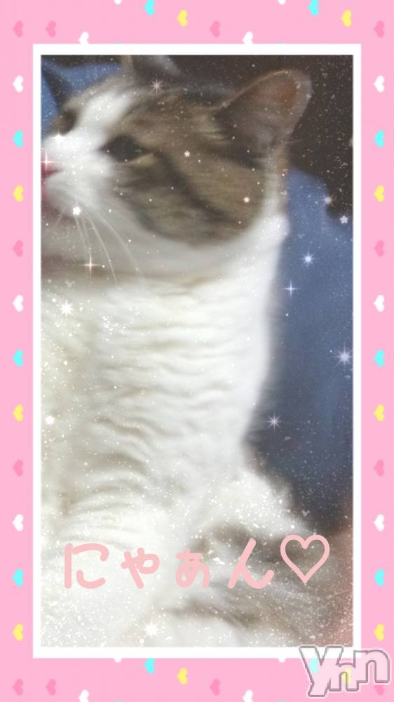 ���ܥ���Х��顦�����Entertainment Club HANA��BUSA(���󥿡��ƥ����ȥ���֡��ϥʥ֥�) ��Τ��4��24���̥�֥����ָĿ;��󡣡�