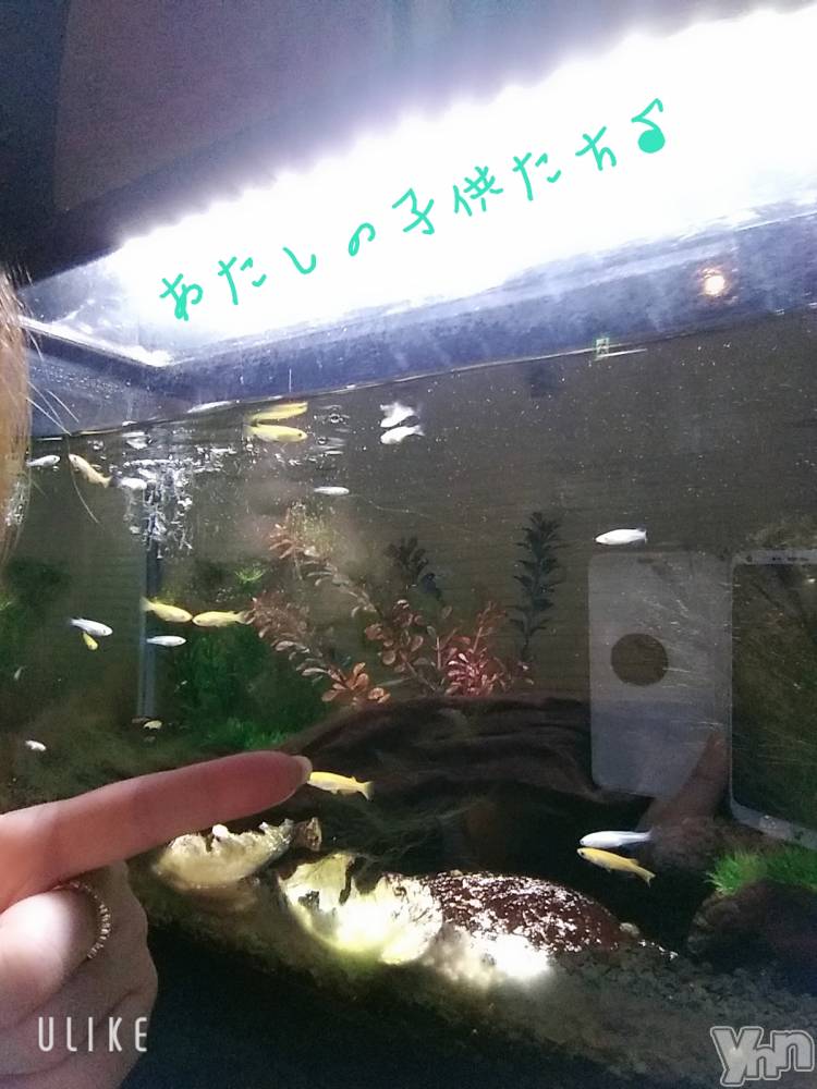 ���ܥ���Х��顦�����Entertainment Club HANA��BUSA(���󥿡��ƥ����ȥ���֡��ϥʥ֥�) ��Τ��5��15���̥�֥����֎���♡��