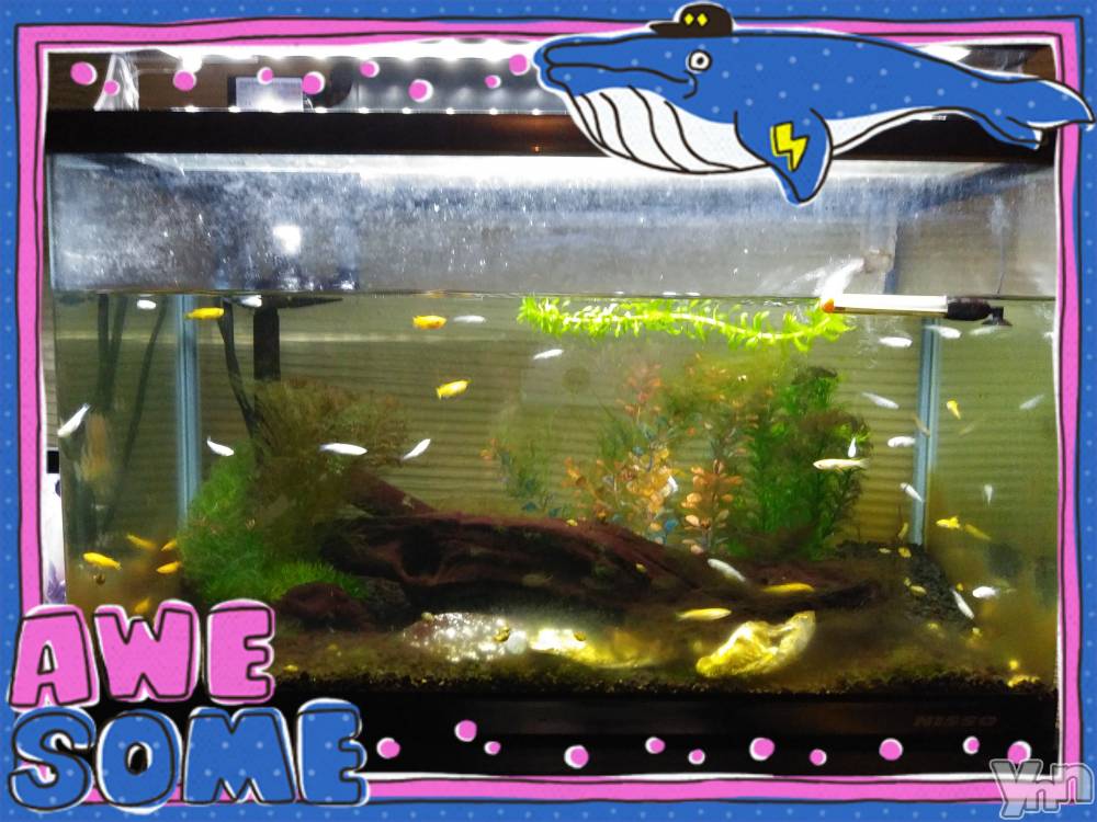 ���ܥ���Х��顦�����Entertainment Club HANA��BUSA(���󥿡��ƥ����ȥ���֡��ϥʥ֥�) ��Τ��7��18���̥�֥����֤����(&nbsp;���꒳​���ᐢ&nbsp;)��