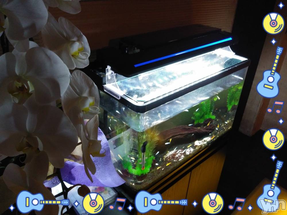 ���ܥ���Х��顦�����Entertainment Club HANA��BUSA(���󥿡��ƥ����ȥ���֡��ϥʥ֥�) ��Τ��8��27���̥�֥�����♡♩��