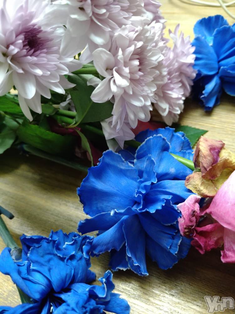 ���ܥ���Х��顦�����Entertainment Club HANA��BUSA(���󥿡��ƥ����ȥ���֡��ϥʥ֥�) ��Τ��11��15���̥�֥����֤��䤹�ߤʤ����ޤ�🌓��