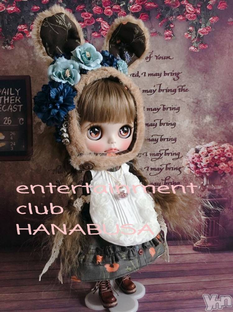 ܥХ顦Entertainment Club HANABUSA(󥿡ƥȥ֡ϥʥ֥) Τ1122̥֥/ᐠꞈᐟ