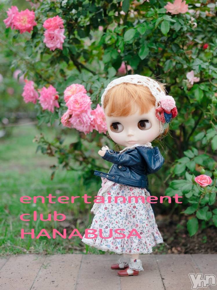 ܥХ顦Entertainment Club HANABUSA(󥿡ƥȥ֡ϥʥ֥) Τ1124̥֥⚆ᴥ⚆