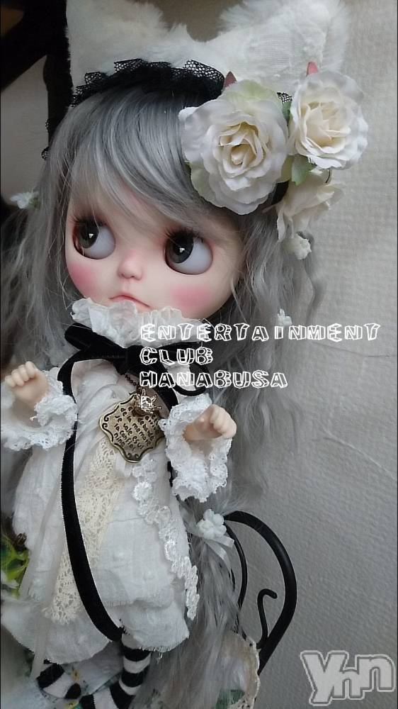 ���ܥ���Х��顦�����Entertainment Club HANA��BUSA(���󥿡��ƥ����ȥ���֡��ϥʥ֥�) ��Τ��2��22���̥�֥�����*.ᓚᘏᗢ‪ꨄ��