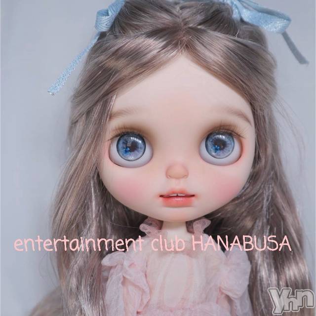 ܥХ顦Entertainment Club HANABUSA(󥿡ƥȥ֡ϥʥ֥) Τ107̥֥(⁠⁠╹⁠◡⁠╹⁠)⁠
