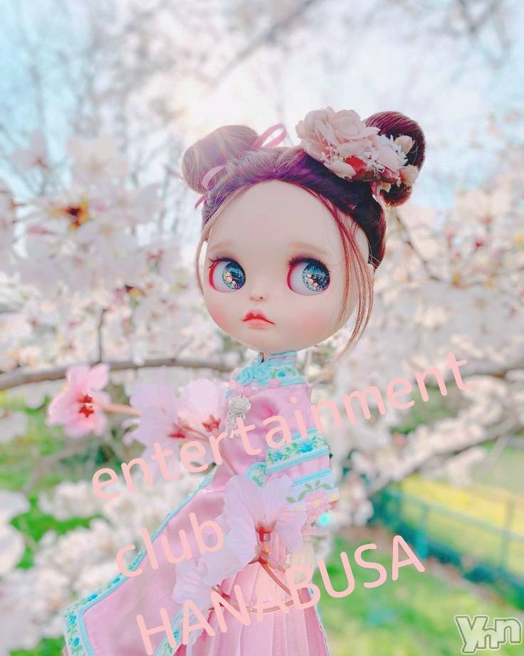 ���ܥ���Х��顦�����Entertainment Club HANA��BUSA(���󥿡��ƥ����ȥ���֡��ϥʥ֥�) ��Τ��3��28���̥�֥�����❀❀��