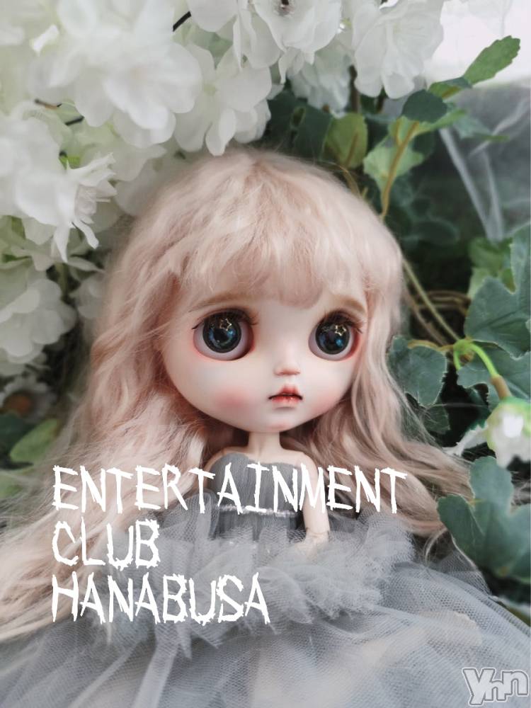 ܥХ顦Entertainment Club HANABUSA(󥿡ƥȥ֡ϥʥ֥) Τ419̥֥(ت)✾
