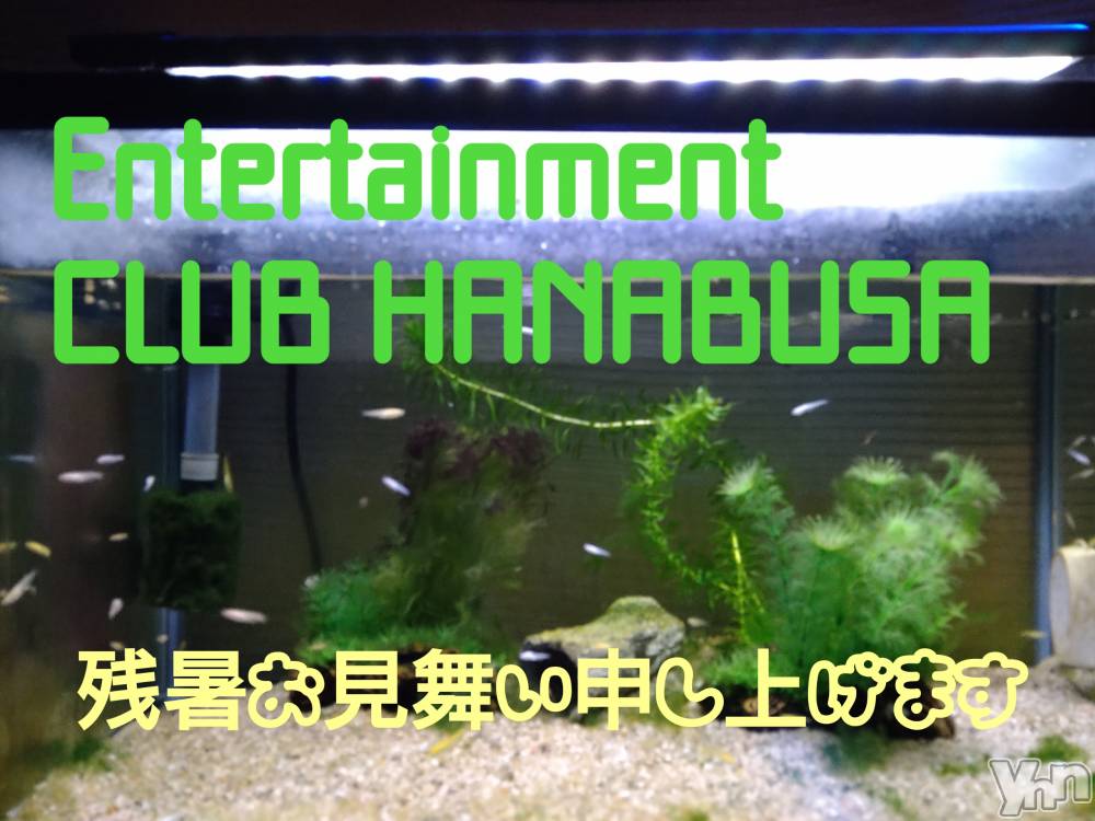 ���ܥ���Х��顦�����Entertainment Club HANA��BUSA(���󥿡��ƥ����ȥ���֡��ϥʥ֥�) ��Τ��8��26���̥�֥�����𓂃꜀(.௰. ꜆)꜄��