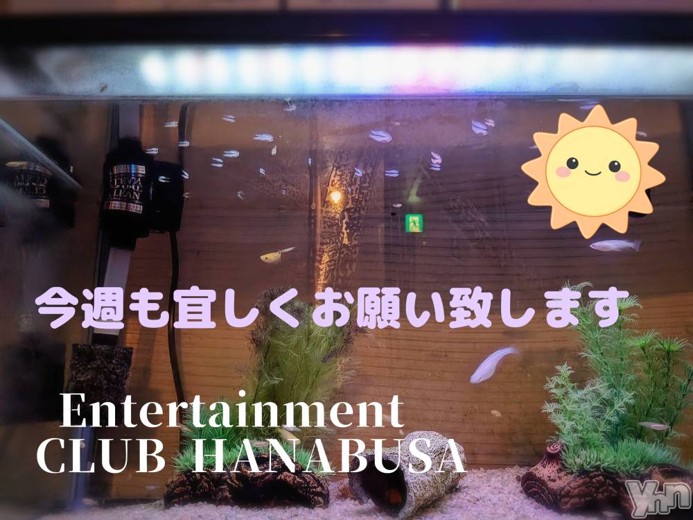 ���ܥ���Х��顦�����Entertainment Club HANA��BUSA(���󥿡��ƥ����ȥ���֡��ϥʥ֥�) ��Τ��7��27���̥�֥�����(๑❛ᴗ❛๑)❁��