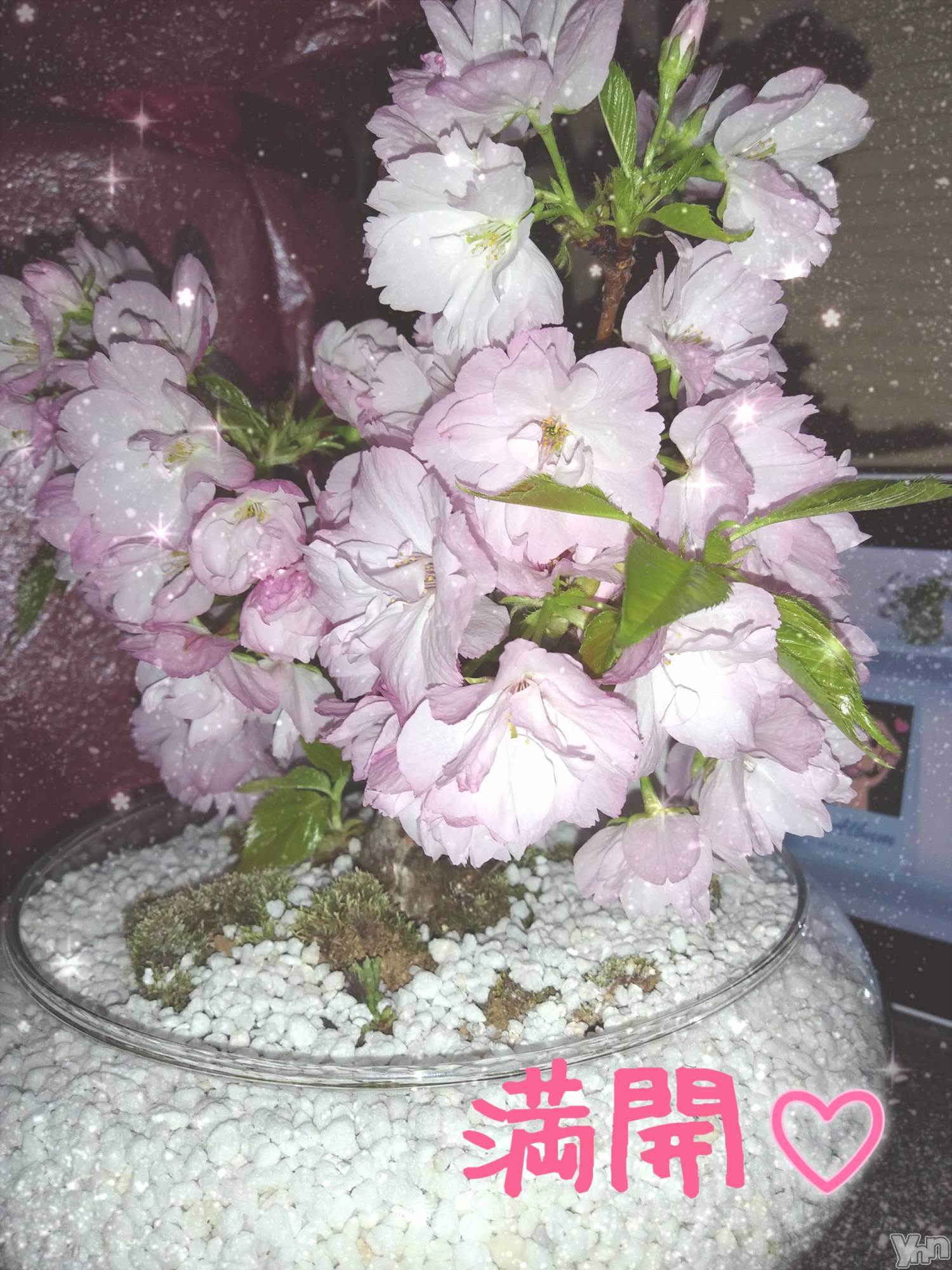 ���ܥ���Х��顦�����Entertainment Club HANA��BUSA(���󥿡��ƥ����ȥ���֡��ϥʥ֥�) ��2019ǯ4��10���̥�֥�����❀❀❀��