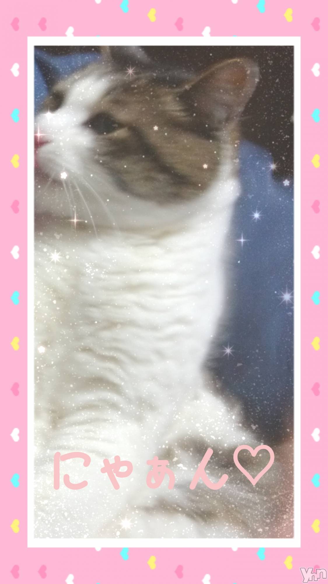 ���ܥ���Х��顦�����Entertainment Club HANA��BUSA(���󥿡��ƥ����ȥ���֡��ϥʥ֥�) ��2019ǯ4��24���̥�֥����ָĿ;��󡣡�