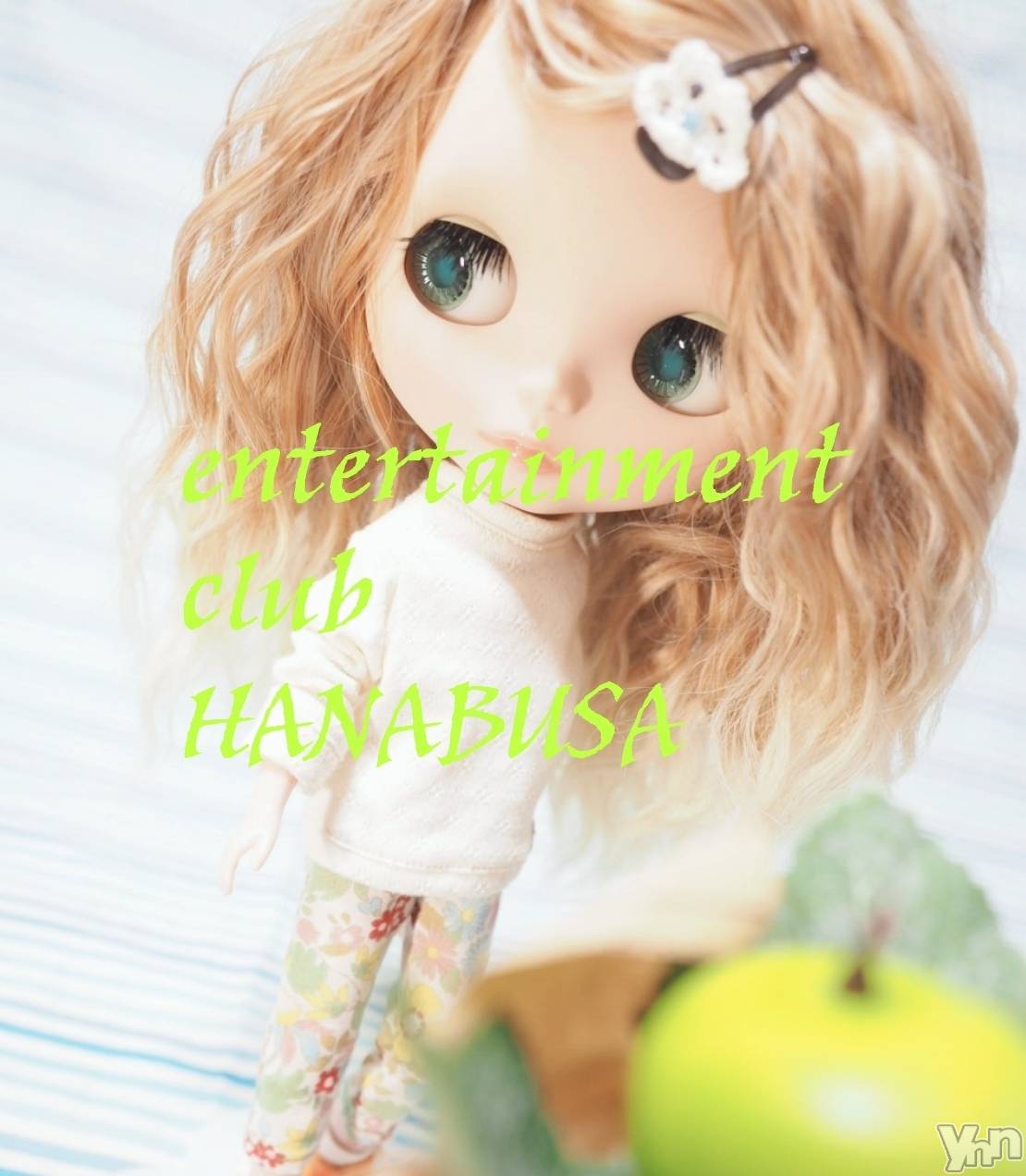 ܥХ顦Entertainment Club HANABUSA(󥿡ƥȥ֡ϥʥ֥) 2021ǯ116̥֥(༝ᐡ)