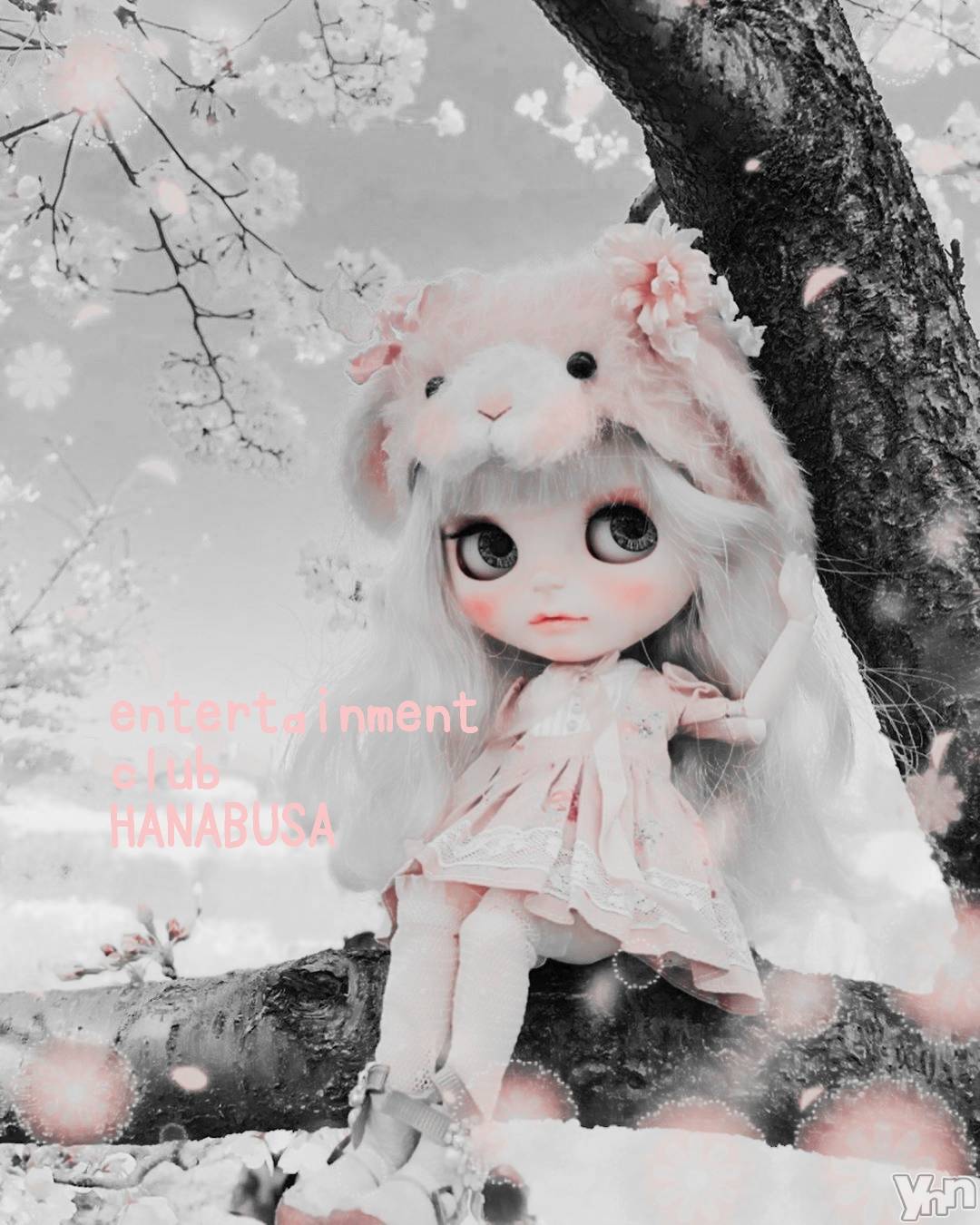 ���ܥ���Х��顦�����Entertainment Club HANA��BUSA(���󥿡��ƥ����ȥ���֡��ϥʥ֥�) ��2022ǯ4��2���̥�֥�����𖤣 ꕤ⠜( ꜆��̀௰��́ )��