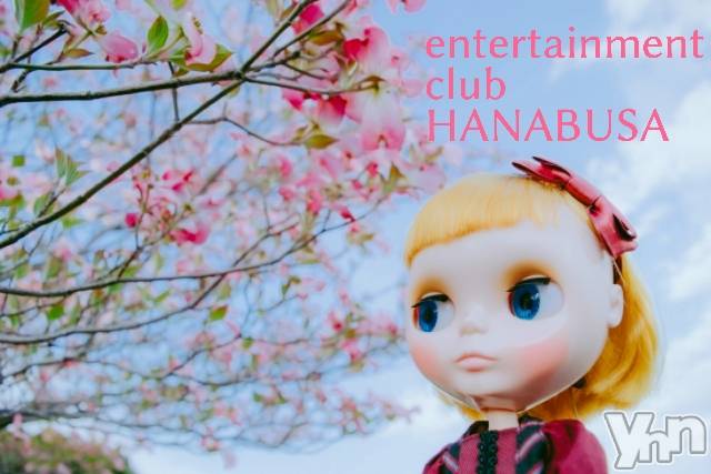 ܥХ顦Entertainment Club HANABUSA(󥿡ƥȥ֡ϥʥ֥) 2022ǯ429̥֥❀(◔‿◔)*+